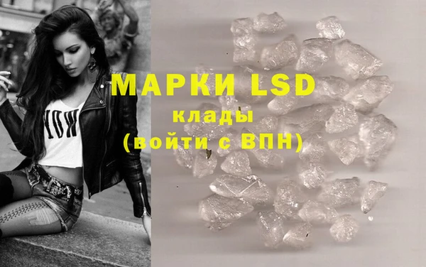 твердый Михайлов