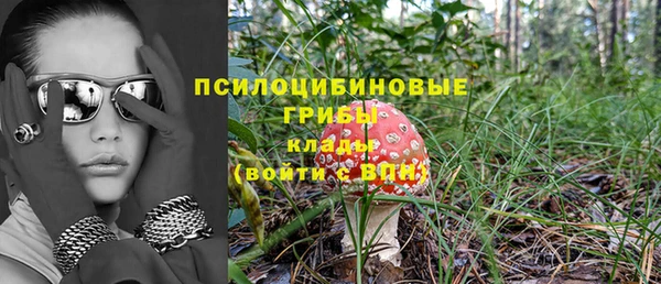 твердый Михайлов