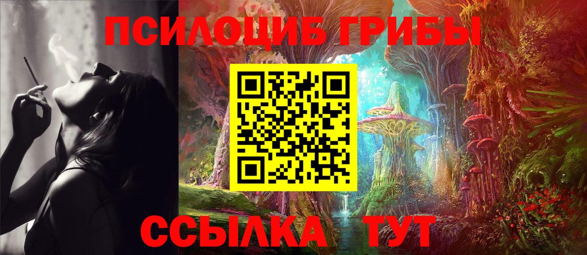 купить наркоту  Тосно  Псилоцибиновые грибы MAGIC MUSHROOMS 