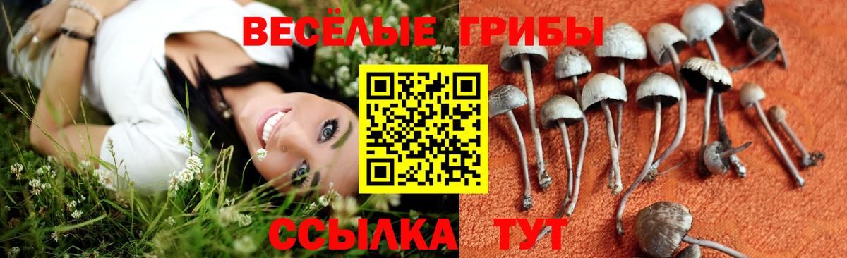 Мефедрон  Codein  Марихуана  Тосно  Вход с VPN  КОКАИН  25-NBOMe  Сколько стоит  ГАШИШ  A PVP  МЕФ 