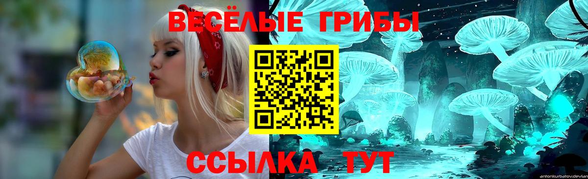 Галлюциногенные грибы мицелий Тосно