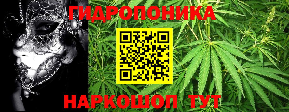 Тосно  Канабис SATIVA & INDICA  Вход с VPN  МАРИХУАНА LSD WEED  Бошки марихуана LSD WEED 